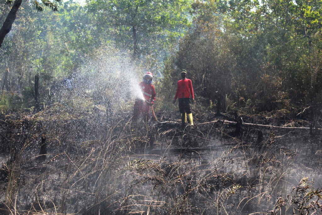Kebakaran Hutan dan Lahan Terjadi di 34 Titik Peringatan Serius bagi Lingkungan dan Kesehata