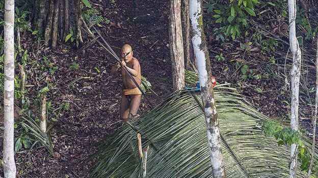 Tragedi di Pedalaman Amazon Pembunuhan Seorang Peneliti dan Misteri Suku Terasing yang Belum Pernah Kontak dengan Dunia Luar